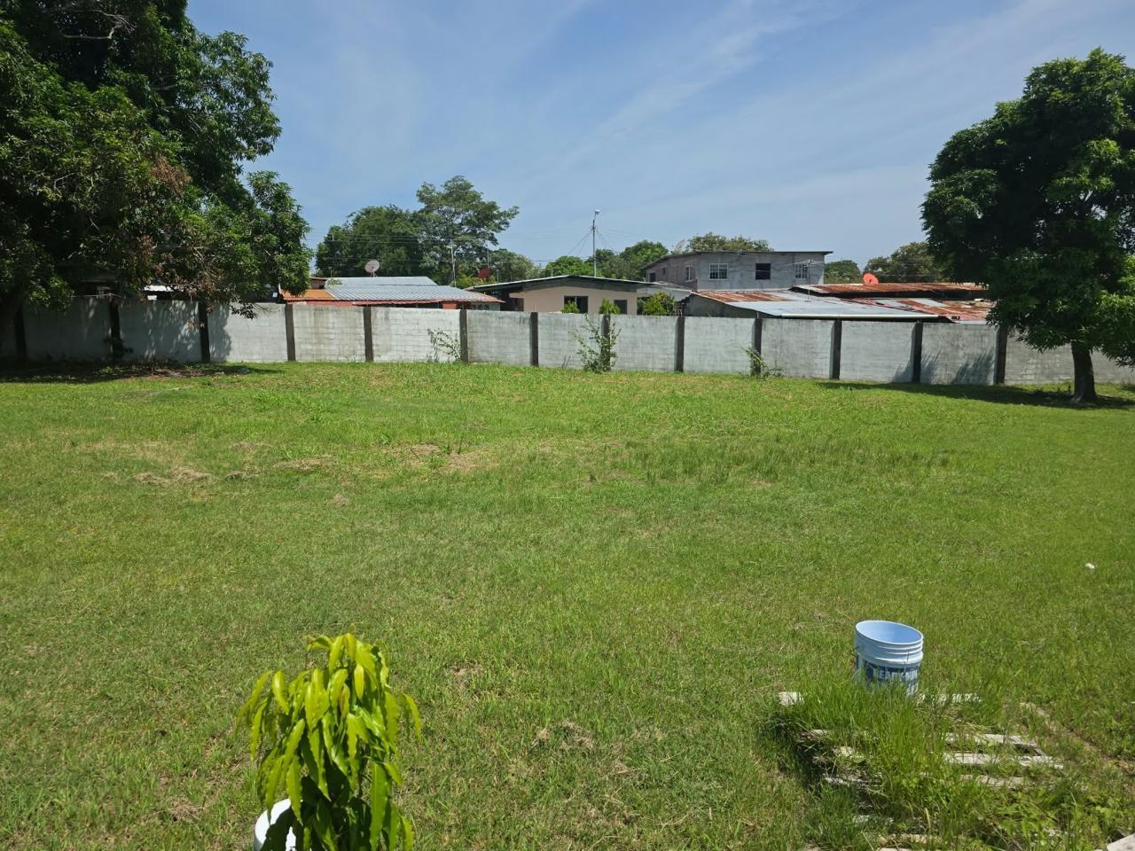 res-00006461-01.jpg