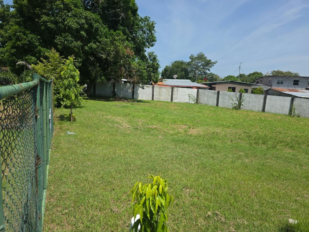 res-00006461-04.jpg