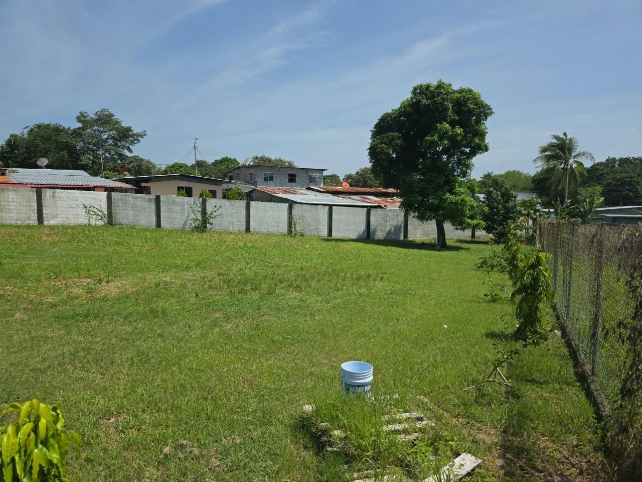 res-00006461-05.jpg