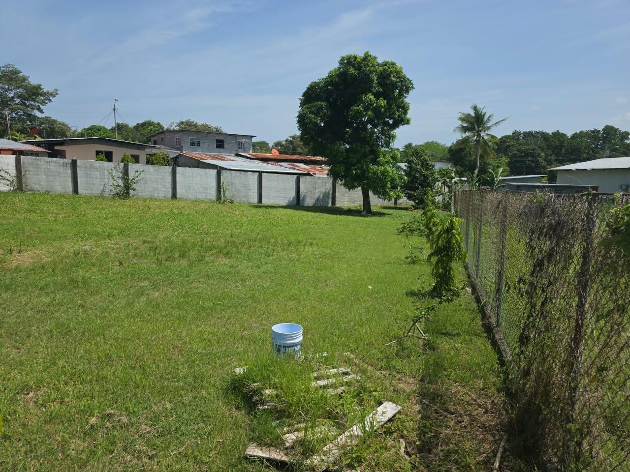 res-00006461-06.jpg