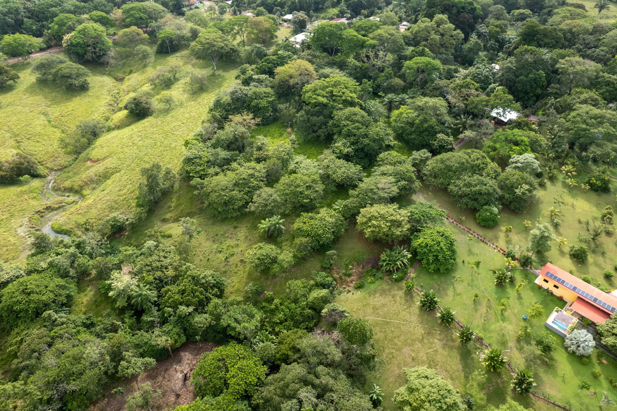 res-00006462-04.jpg