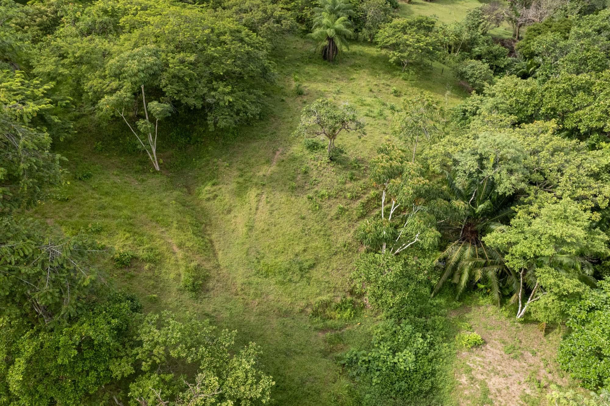 res-00006462-13.jpg