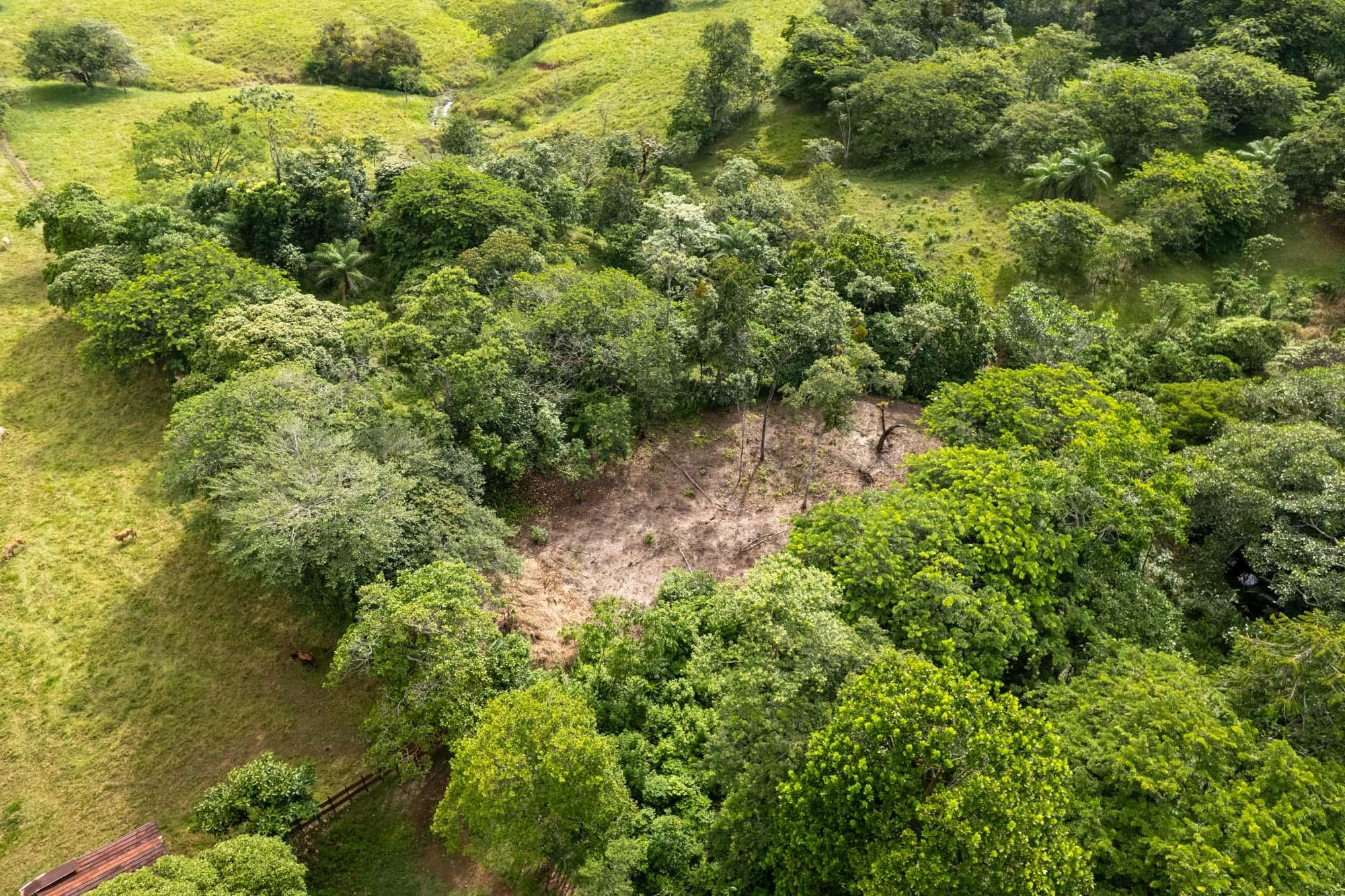 res-00006462-14.jpg