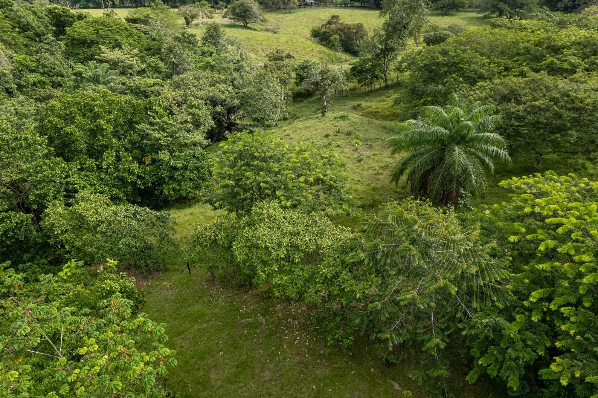 res-00006462-15.jpg