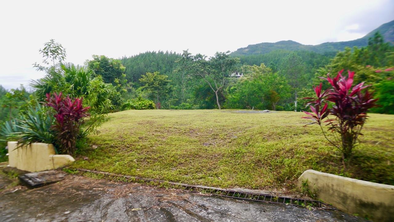 res-00006463-03.jpg