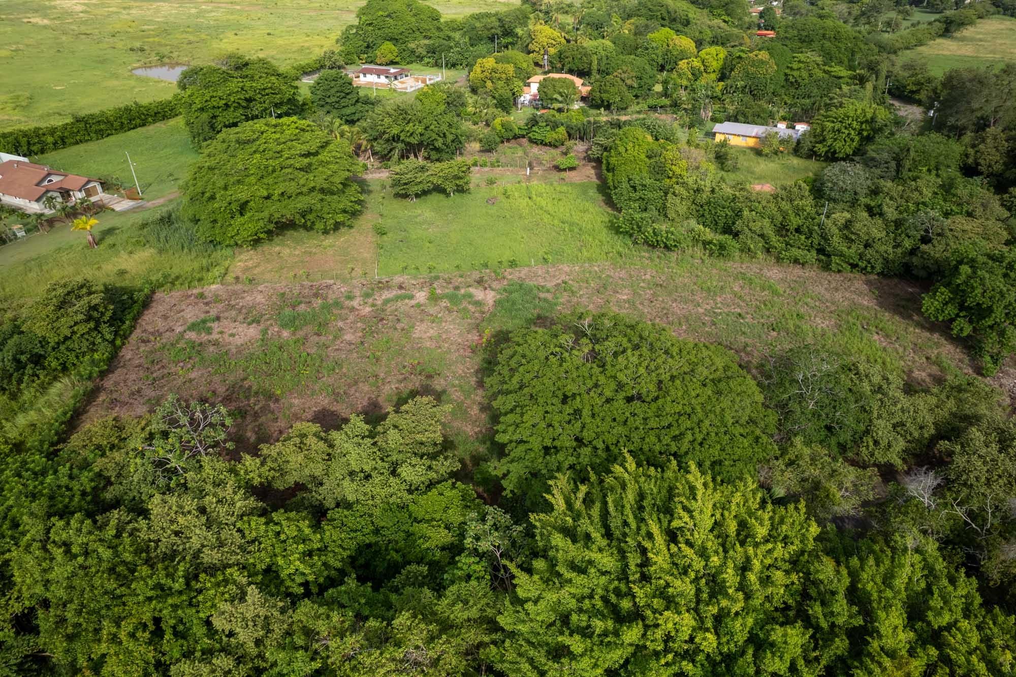 res-00006469-13.jpg