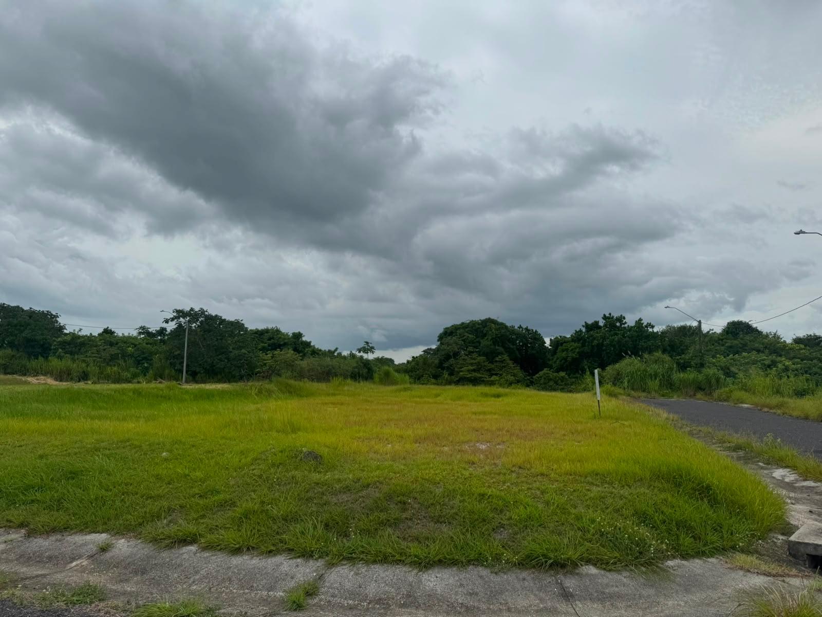res-0000646e-10.jpg