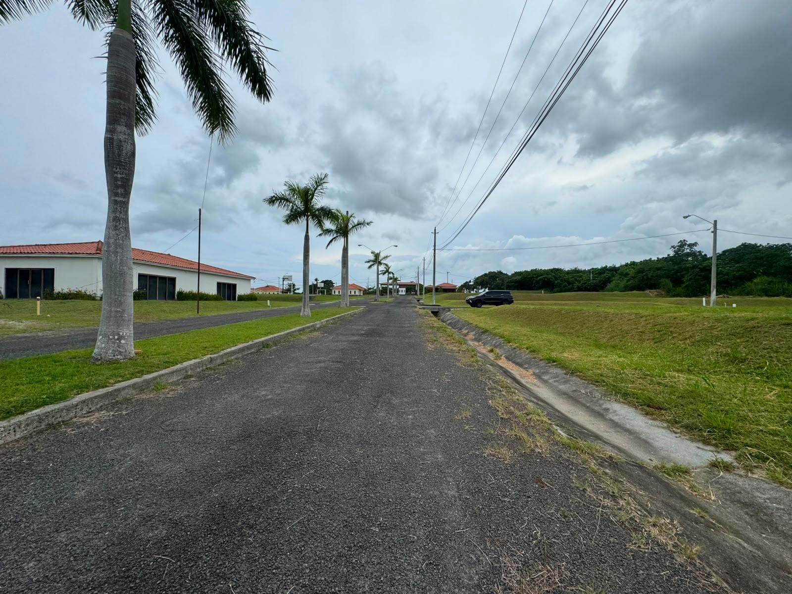 res-0000646e-11.jpg