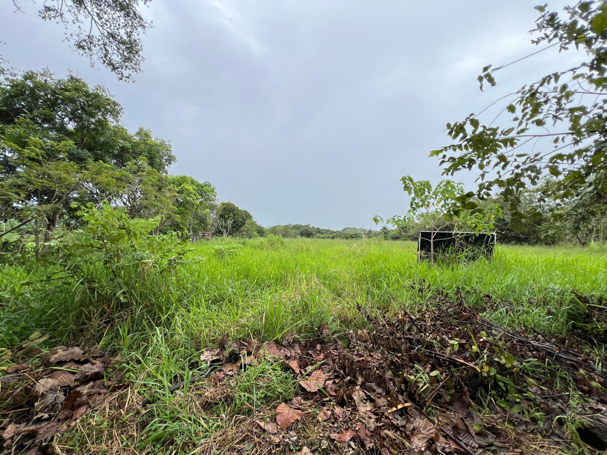 res-00006481-10.jpg