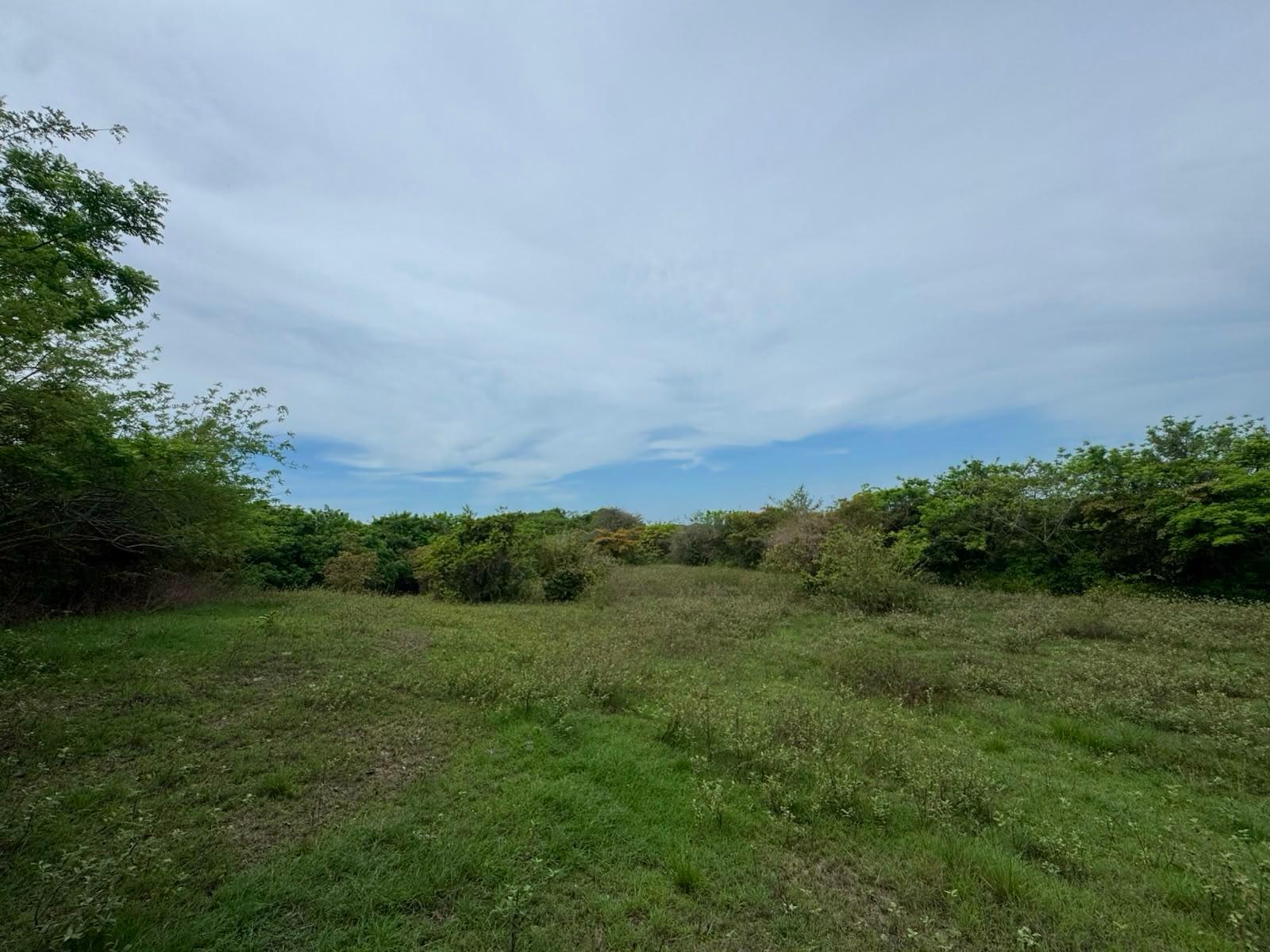 res-0000648a-02.jpg