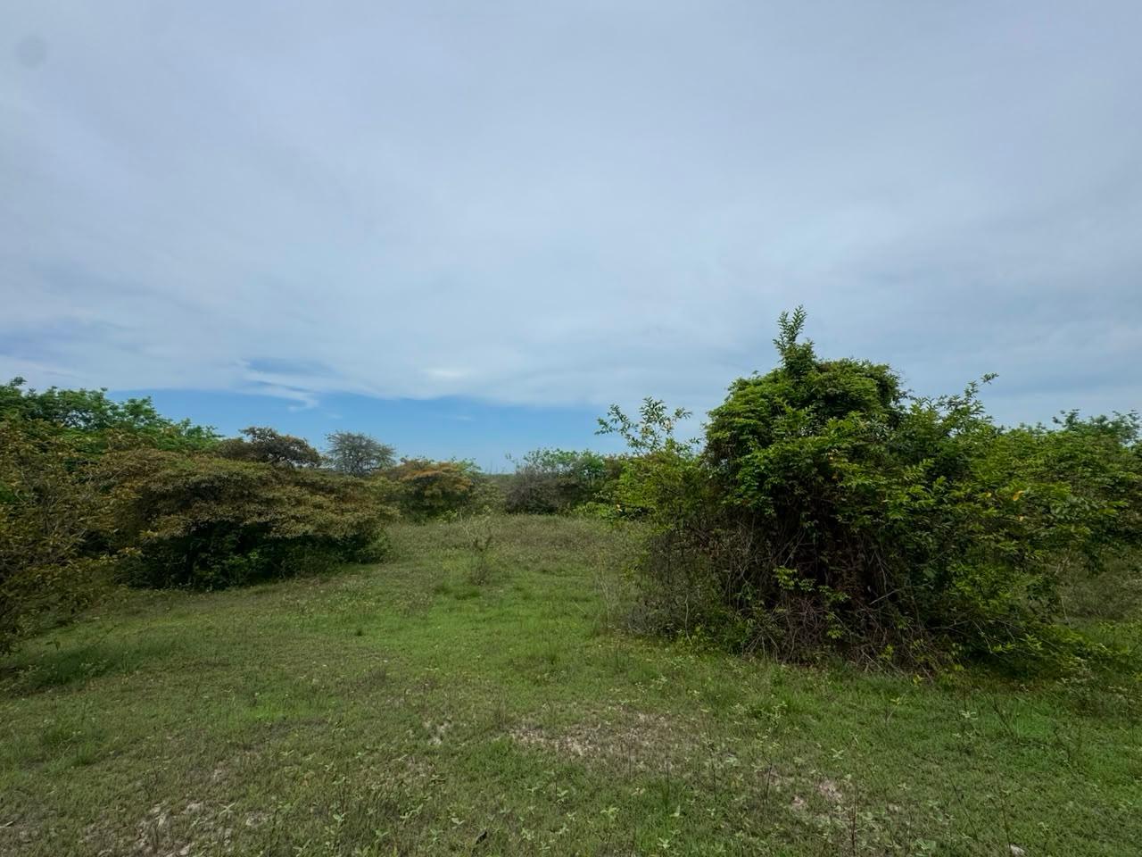 res-0000648a-03.jpg