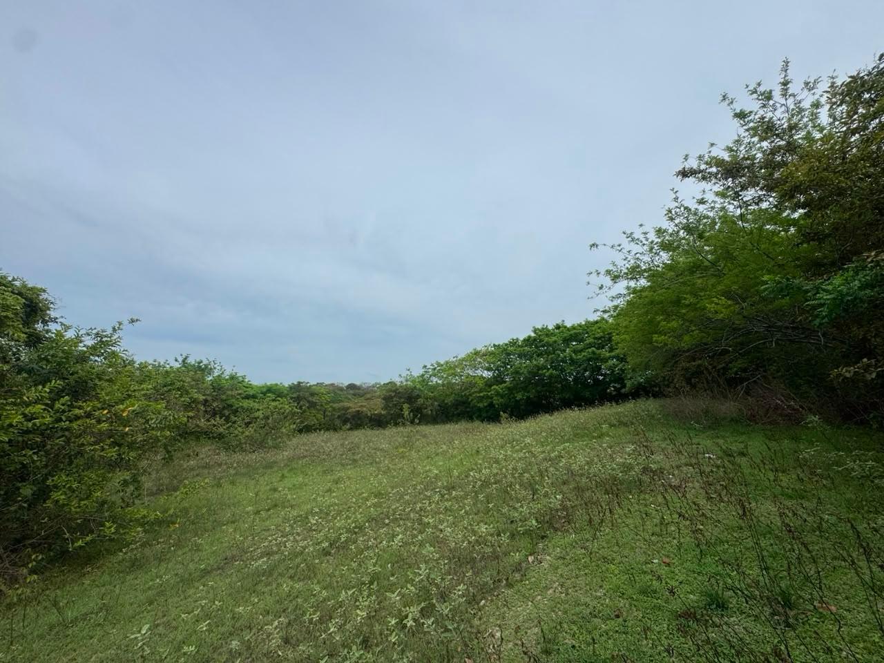 res-0000648a-04.jpg