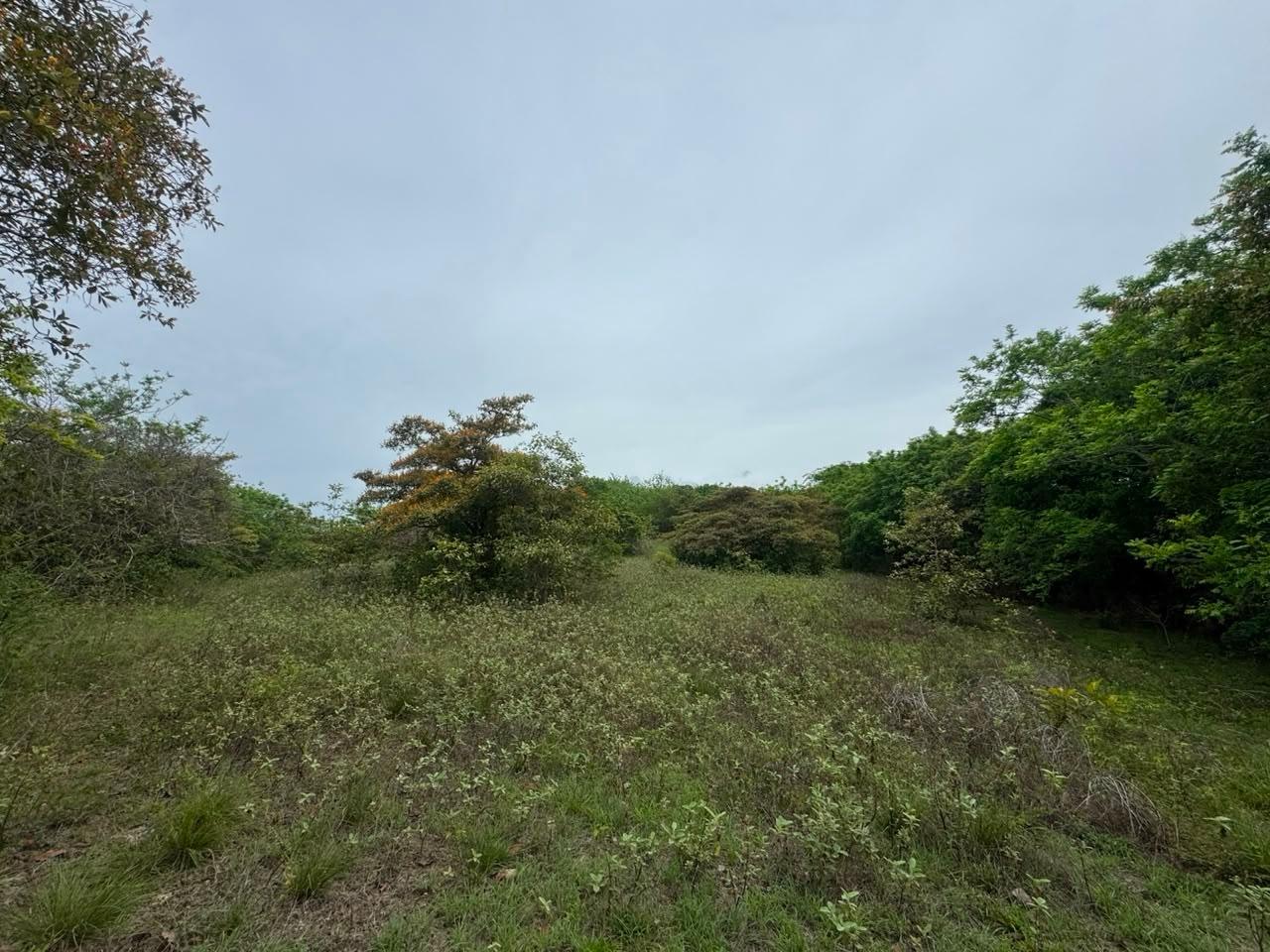 res-0000648a-05.jpg
