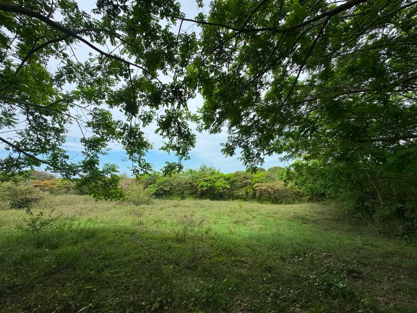 res-0000648a-07.jpg