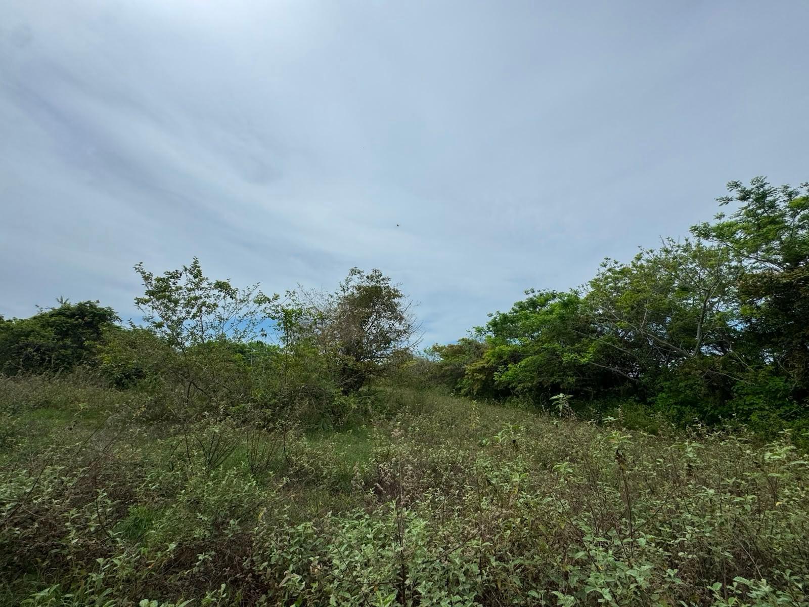 res-0000648a-08.jpg