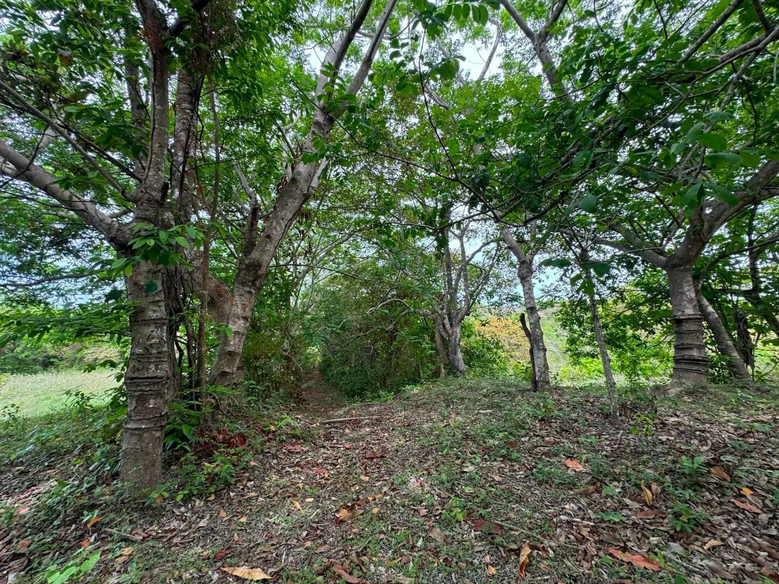 res-0000648a-09.jpg