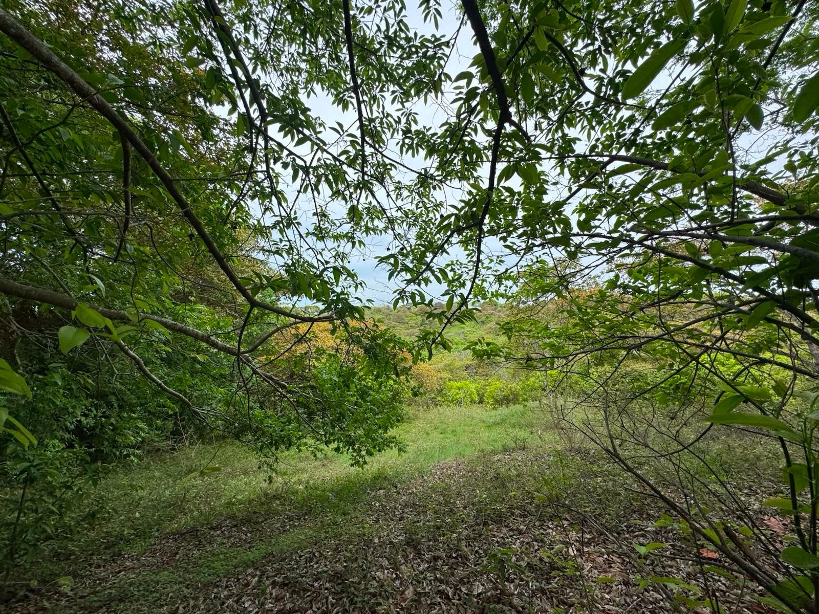 res-0000648a-15.jpg