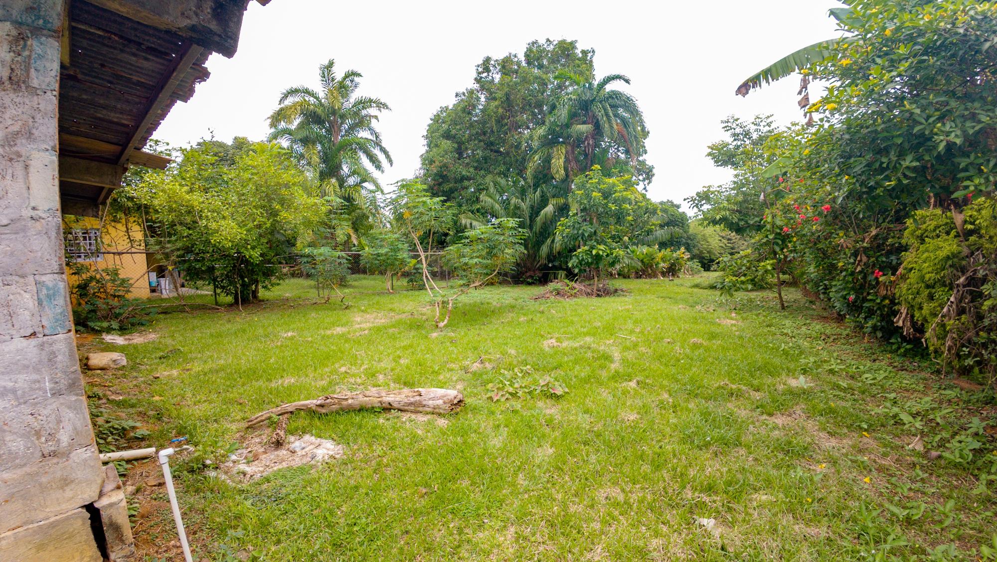 res-0000648e-08.jpg