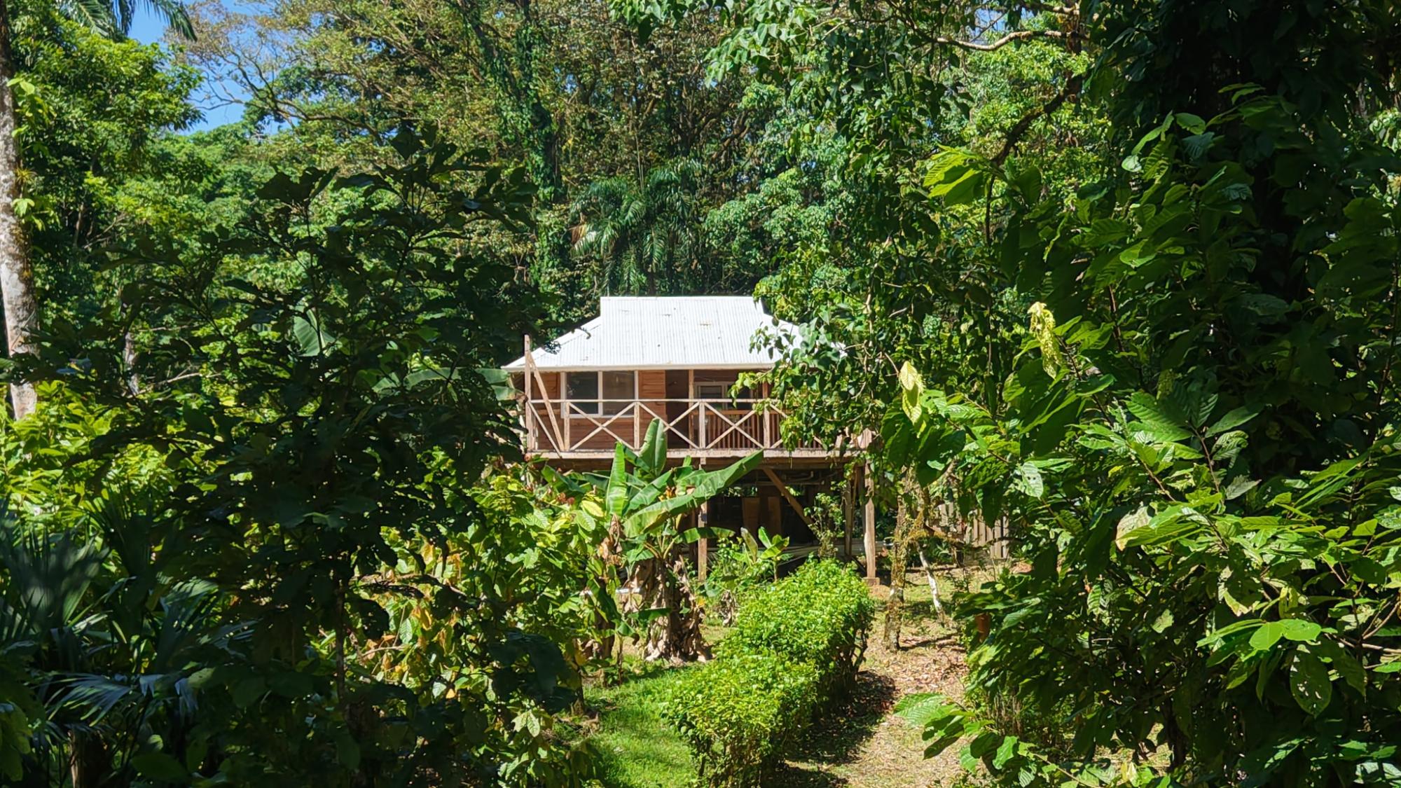 res-00006493-12.jpg