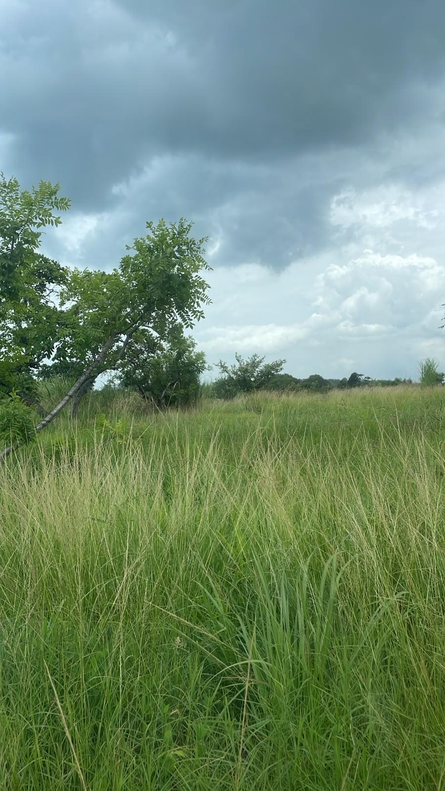 res-0000649b-01.jpg