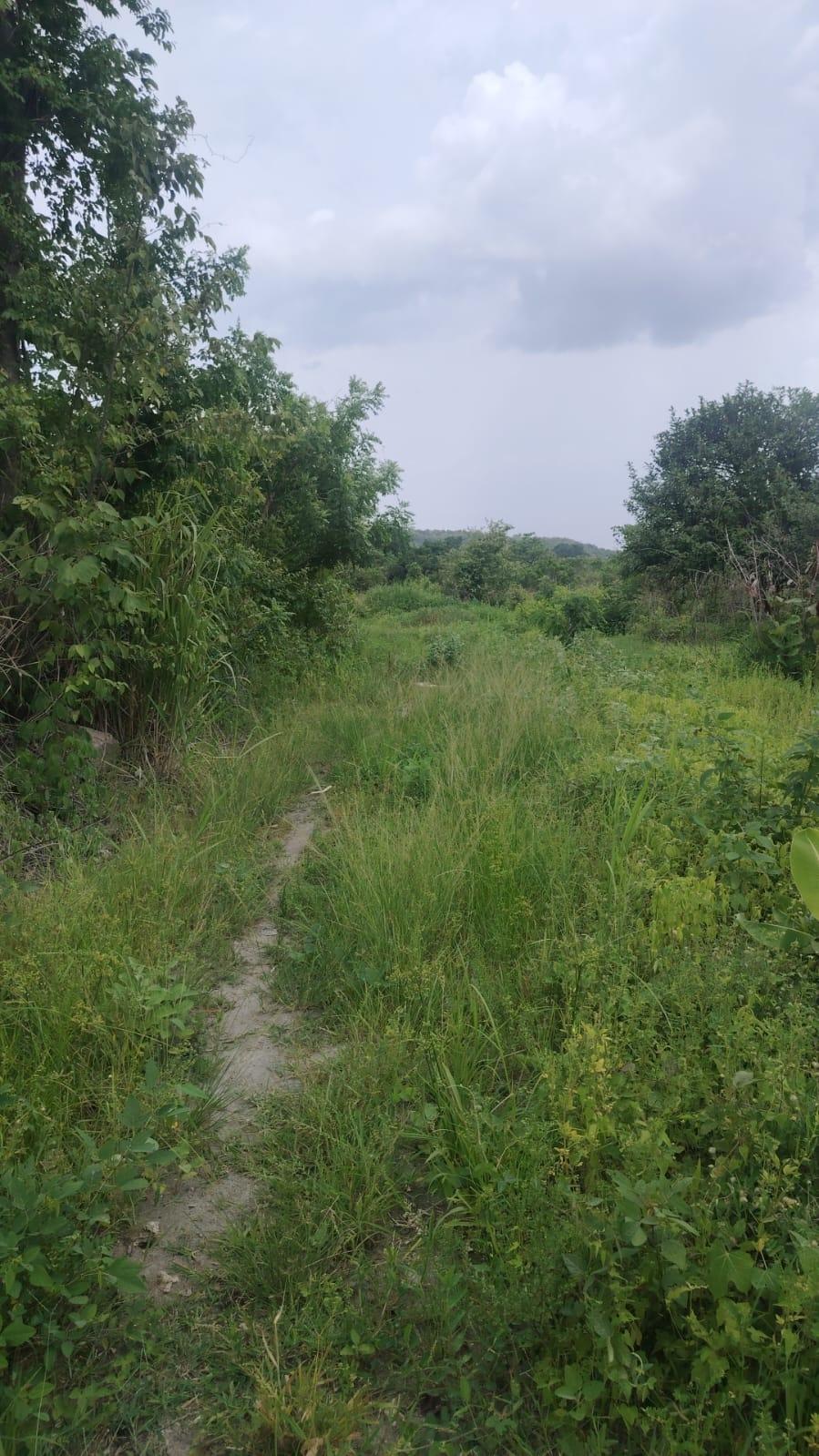 res-0000649b-03.jpg