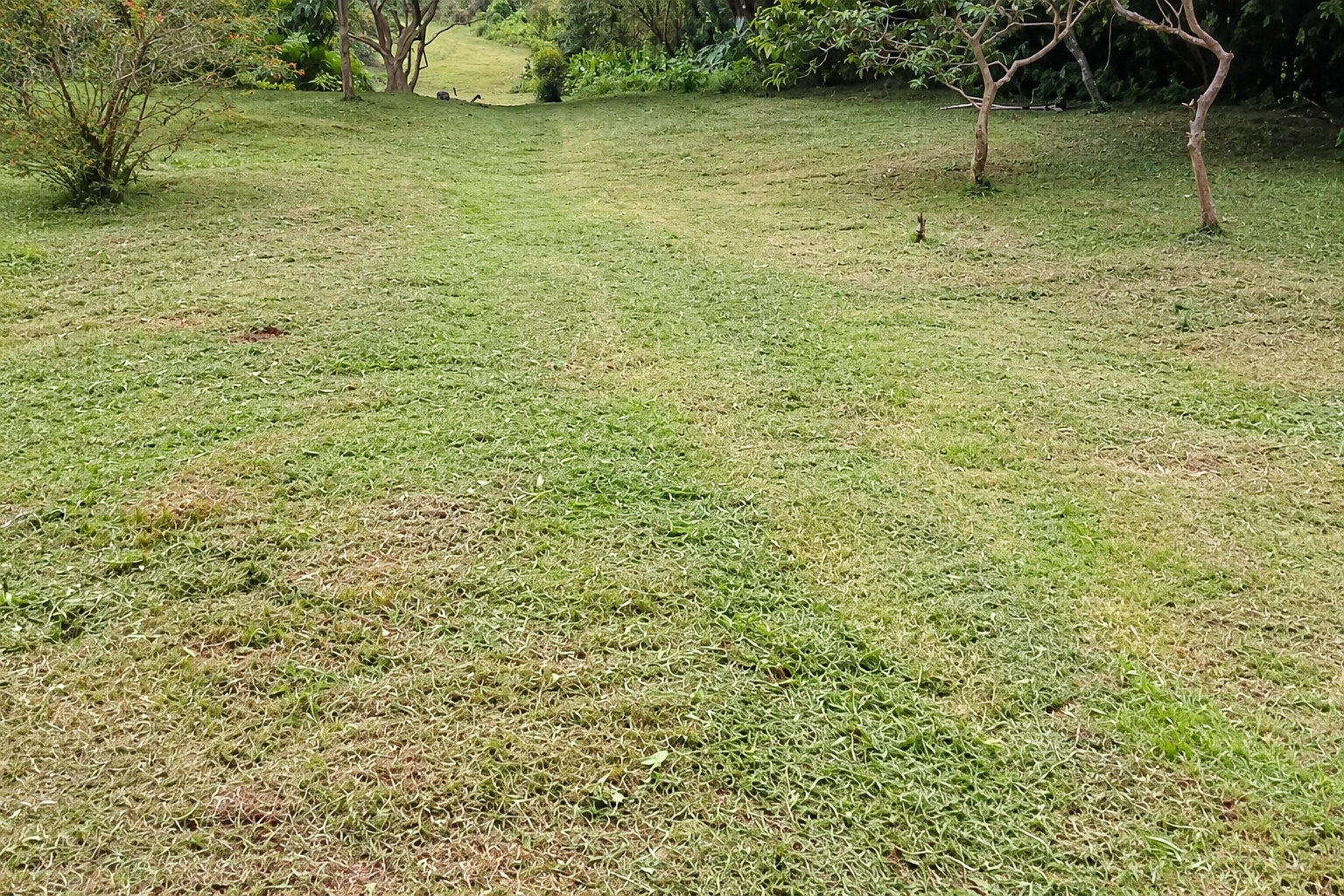 com-0000651b-06.jpg