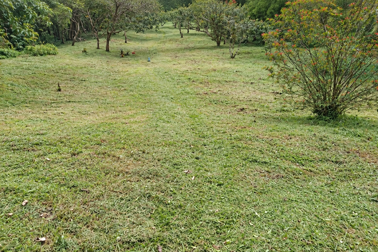 com-0000651b-08.jpg