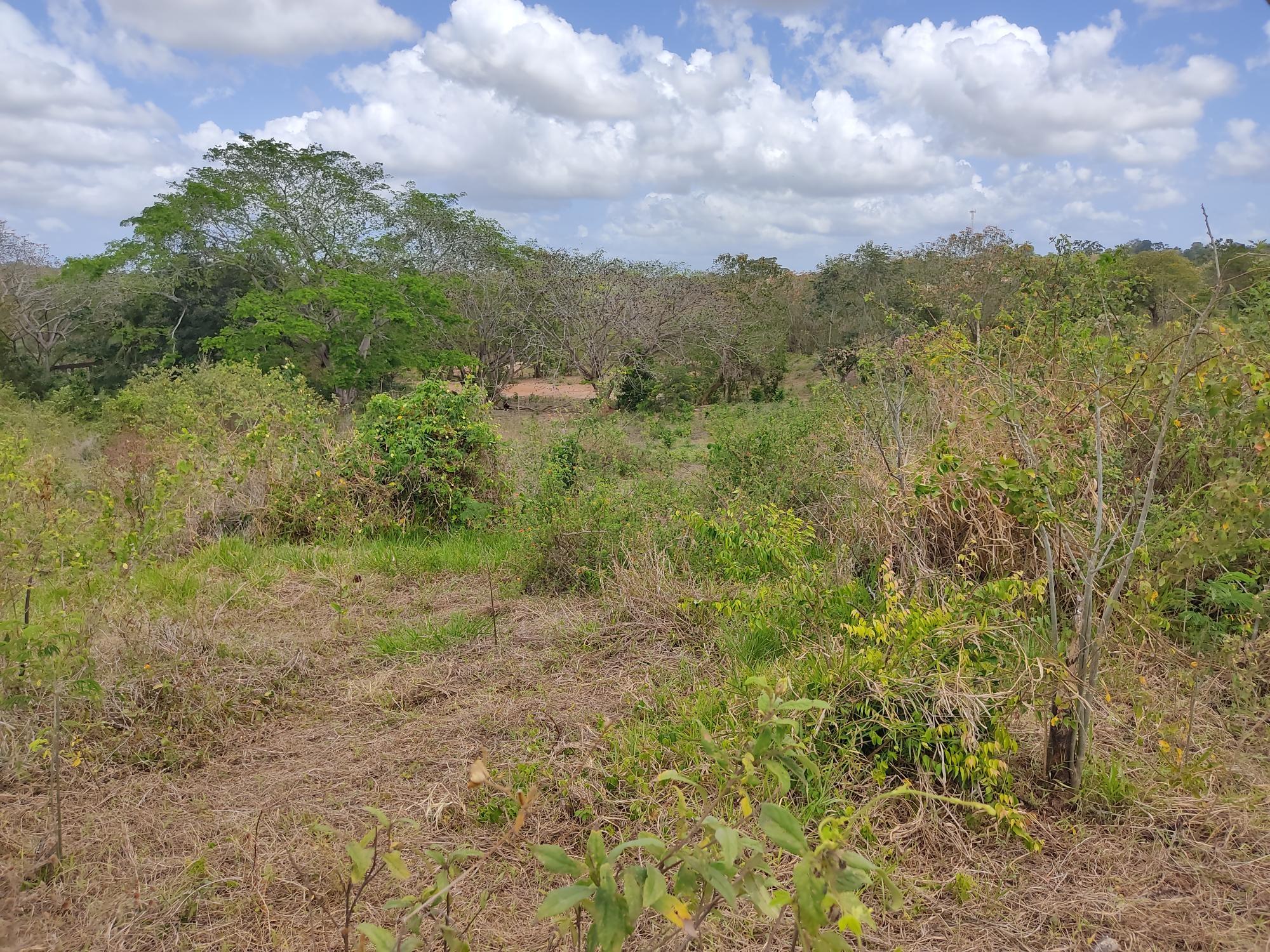 res-000059c1-04.jpg