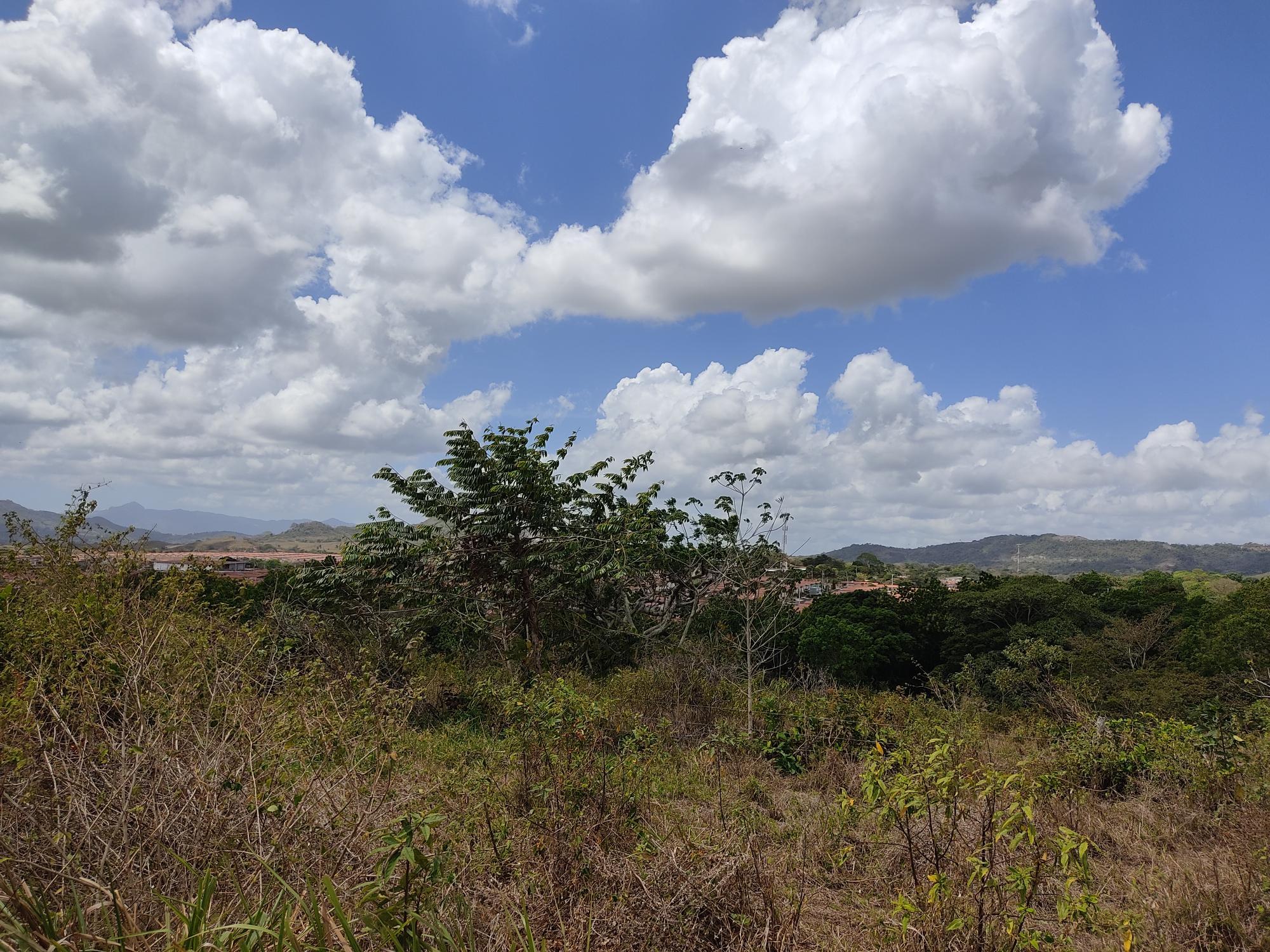 res-000059c1-07.jpg