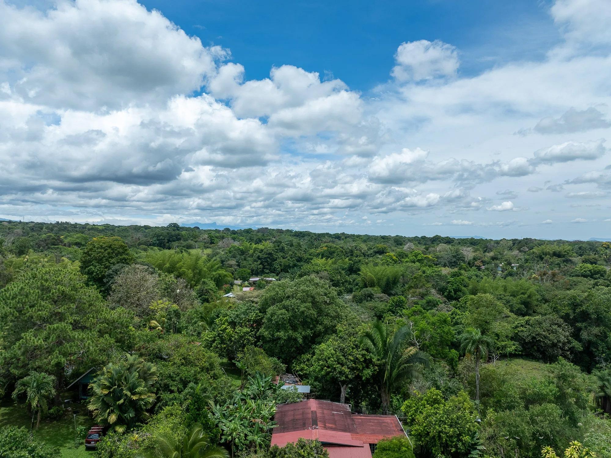 res-00006486-03.jpg