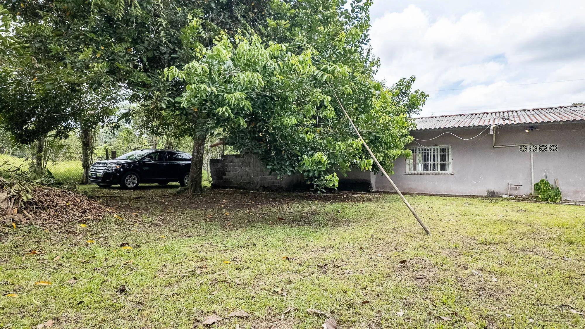 res-00006486-18.jpg