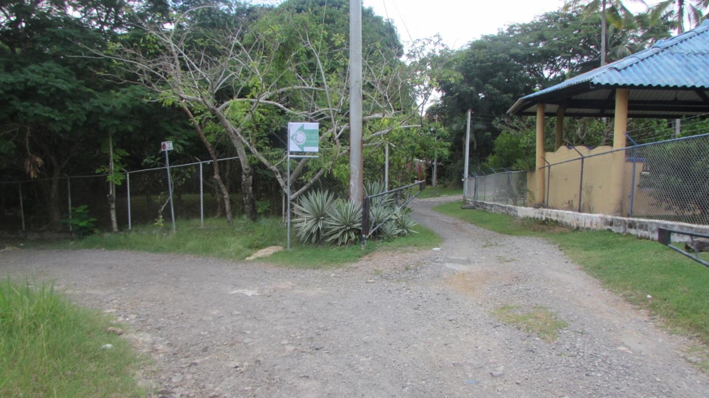 res-000064bd-03.jpg
