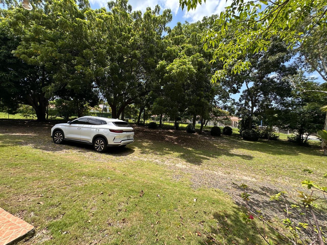 res-000064c1-15.jpg