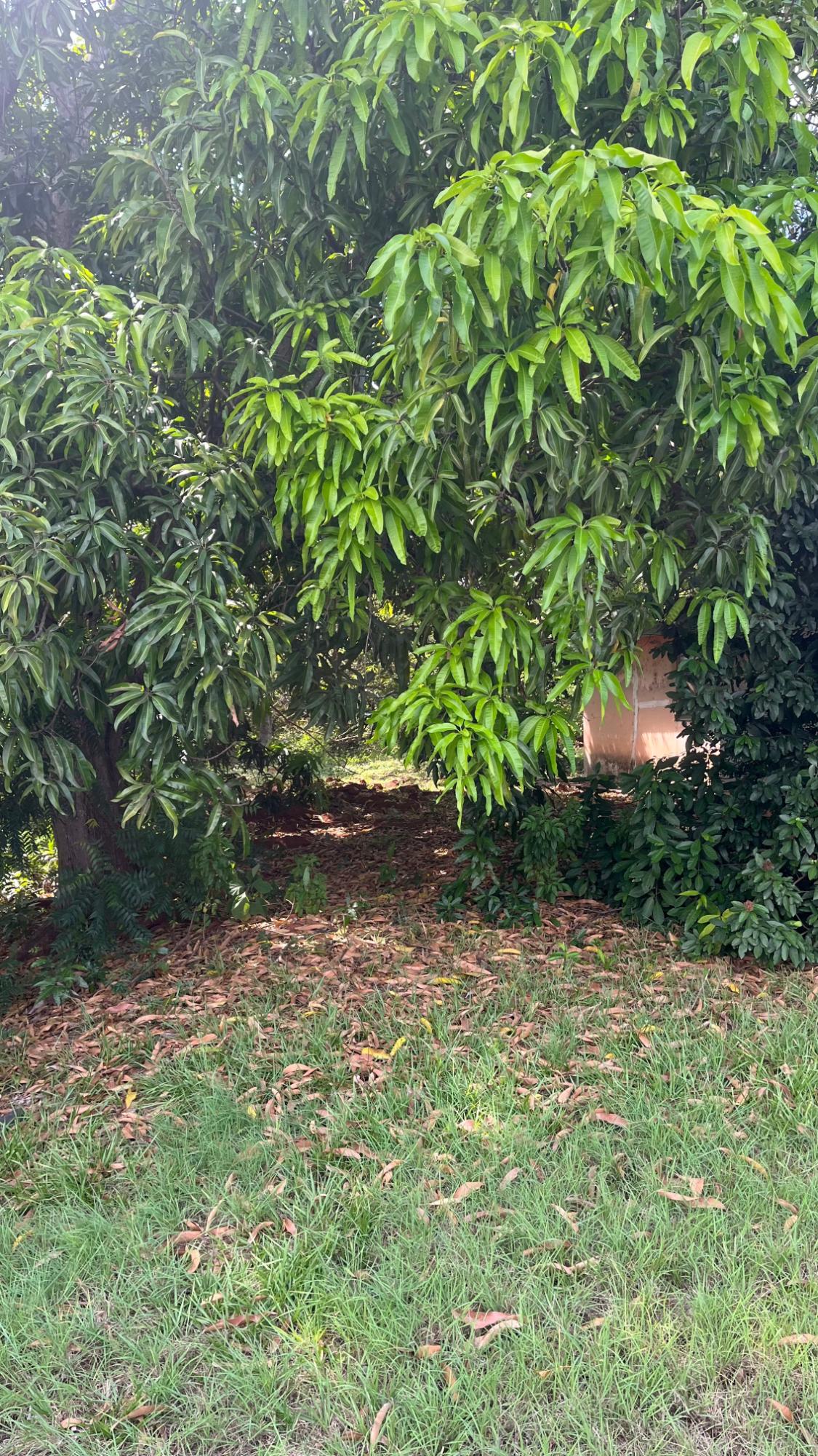 res-000064cf-02.jpg