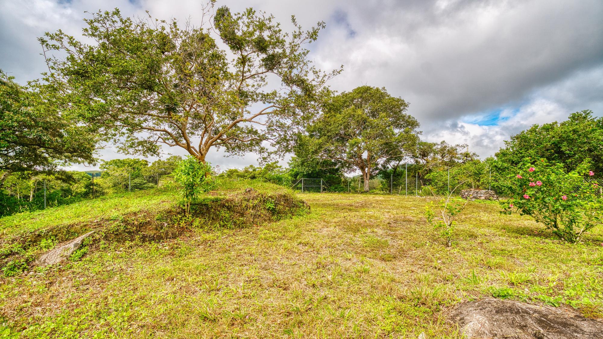 res-000064d5-15.jpg