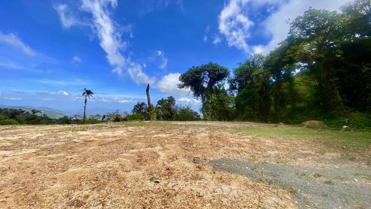 res-000064f8-05.jpg