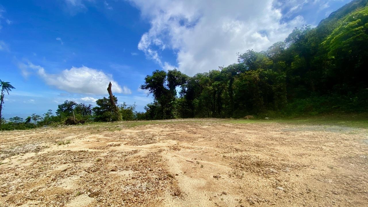 res-000064f8-06.jpg