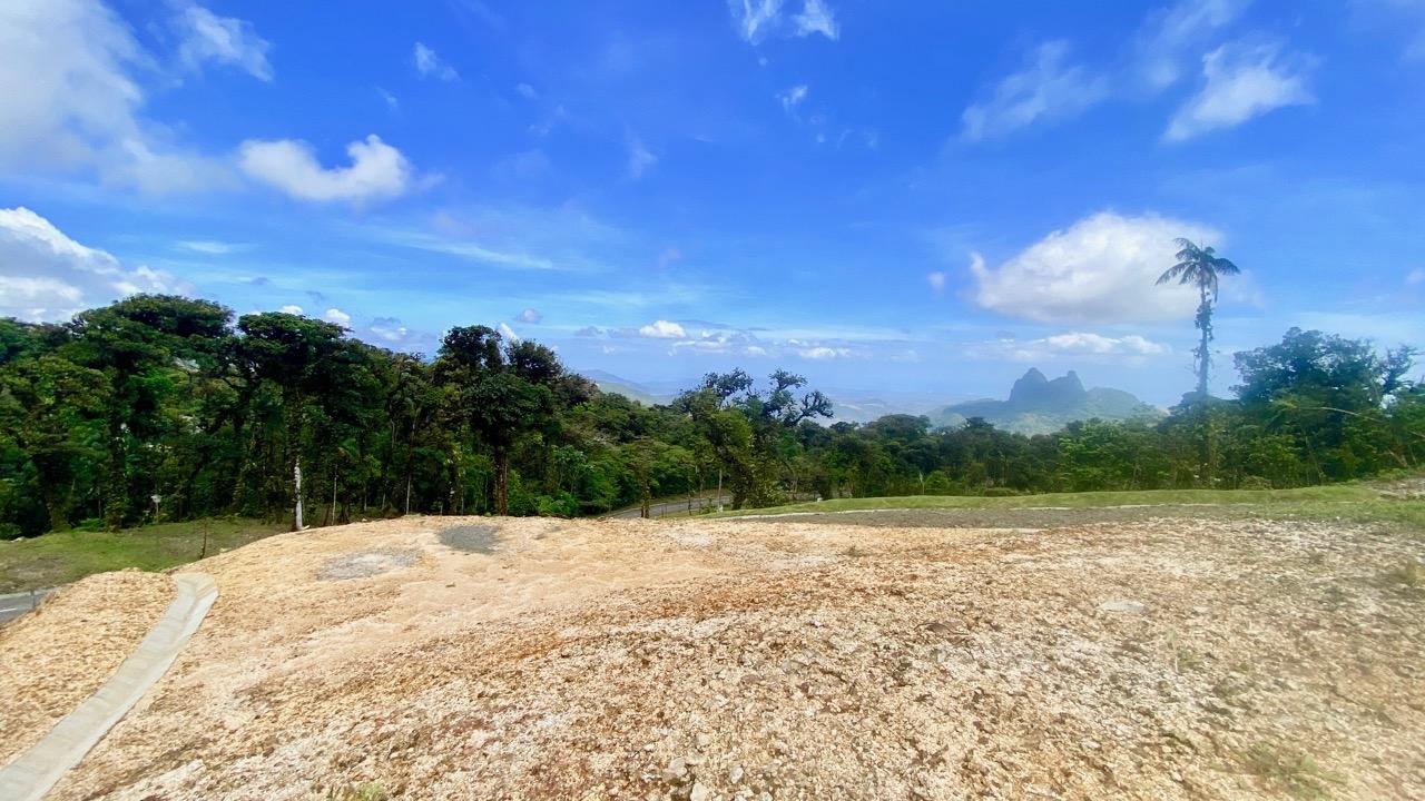 res-000064f8-07.jpg