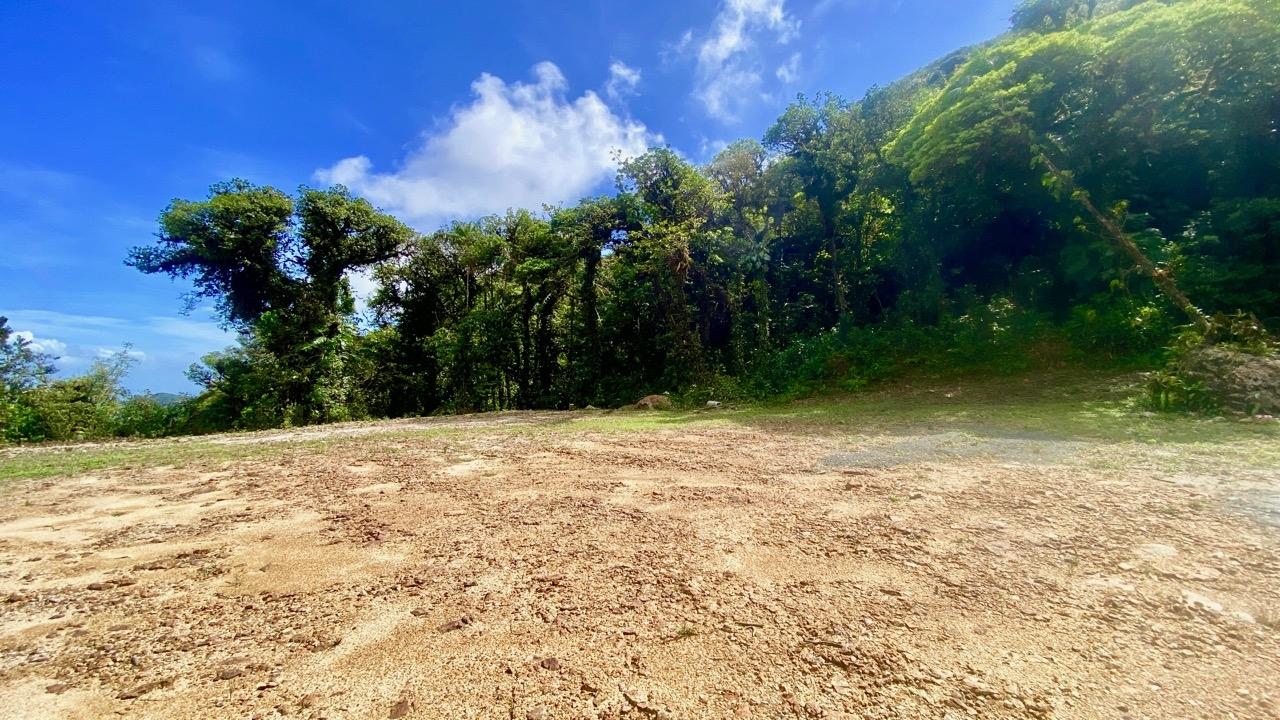 res-000064f8-15.jpg
