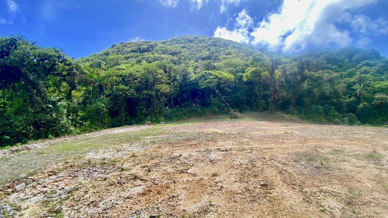 res-000064f8-16.jpg