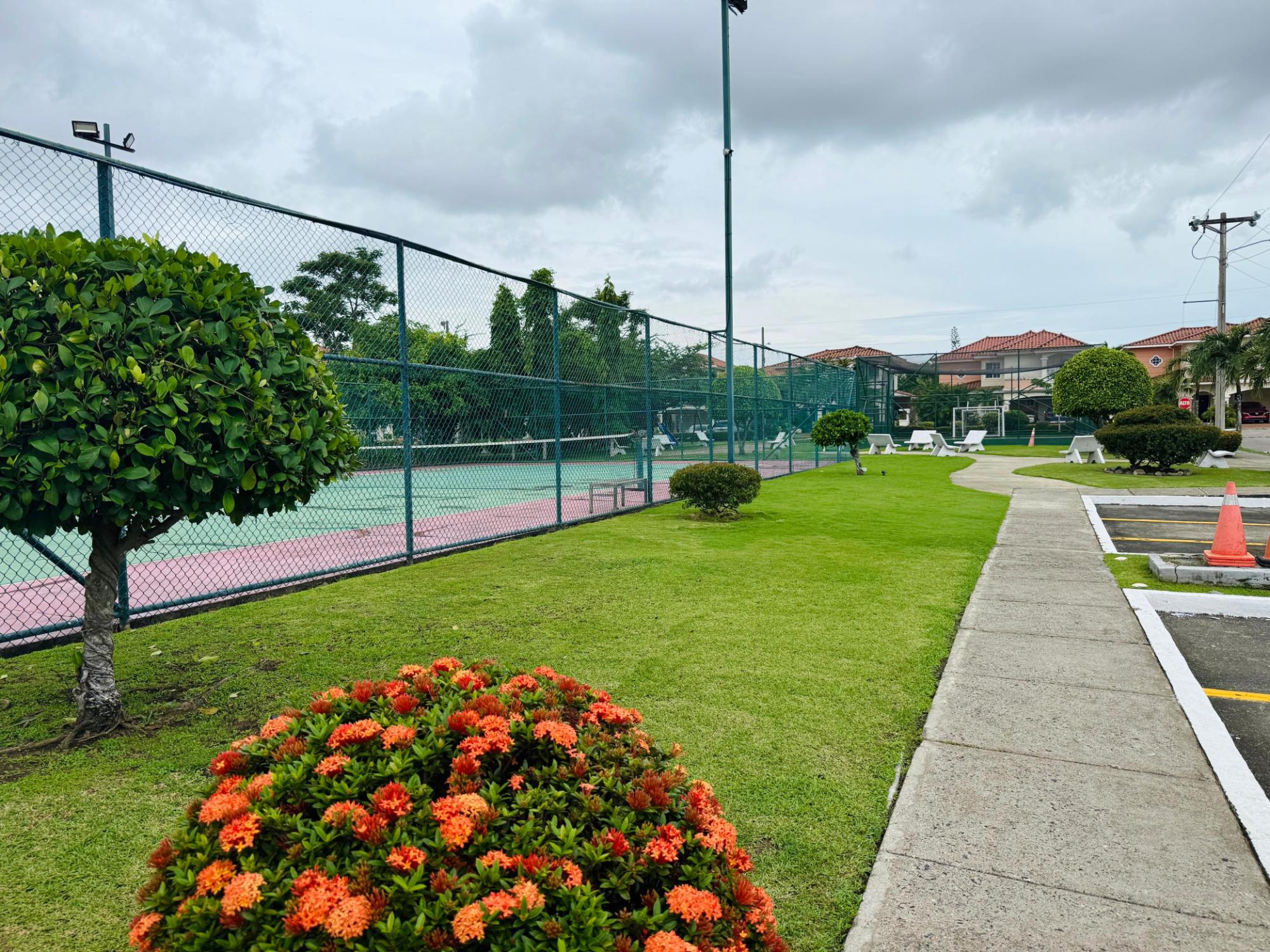 res-00006506-17.jpg