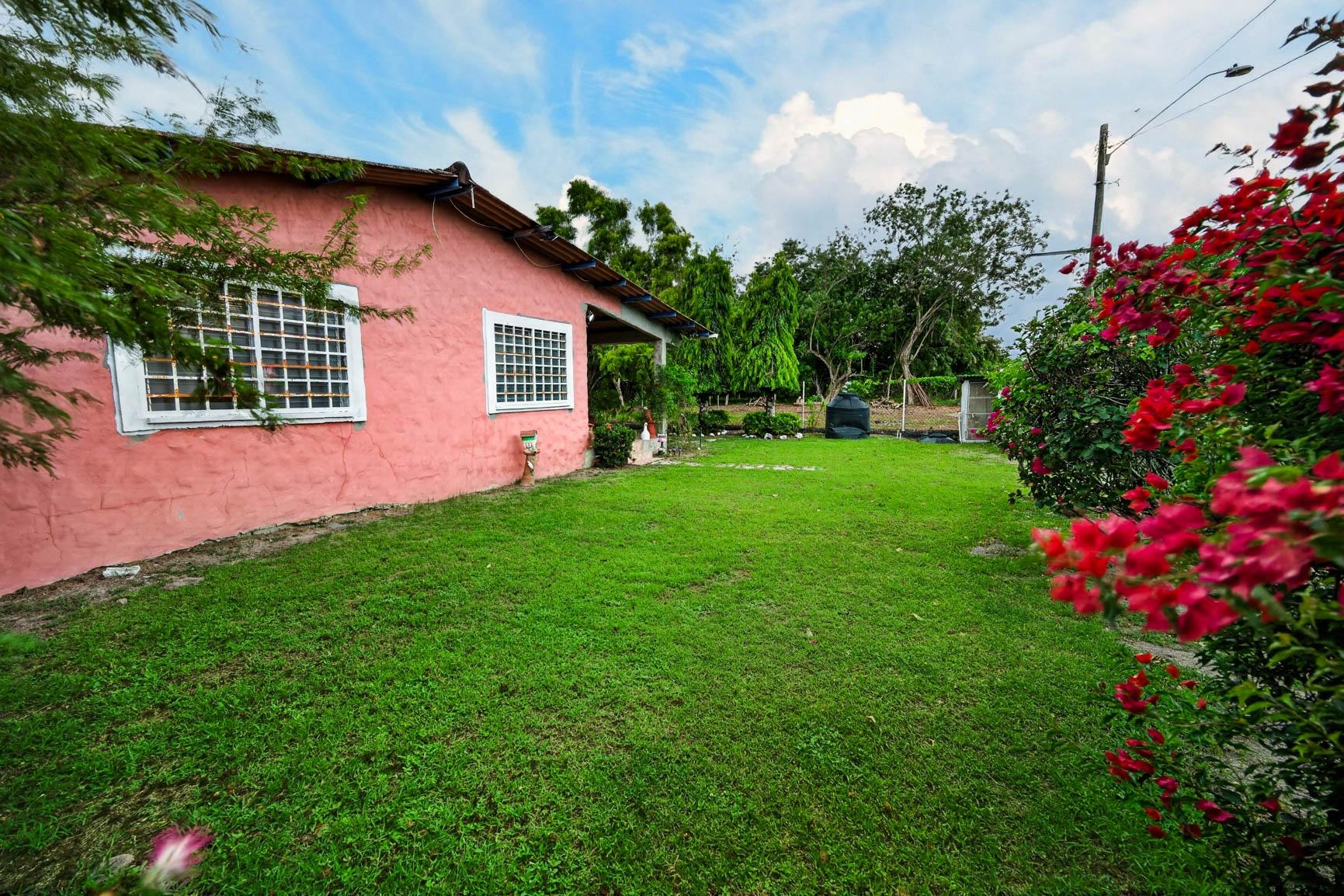 res-00006512-05.jpg