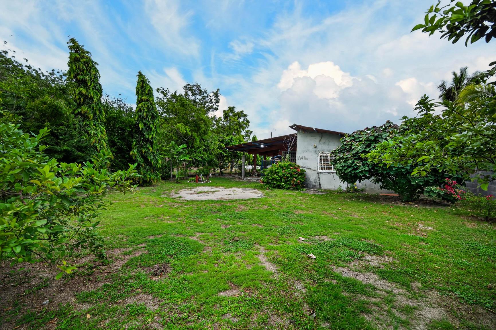 res-00006512-12.jpg