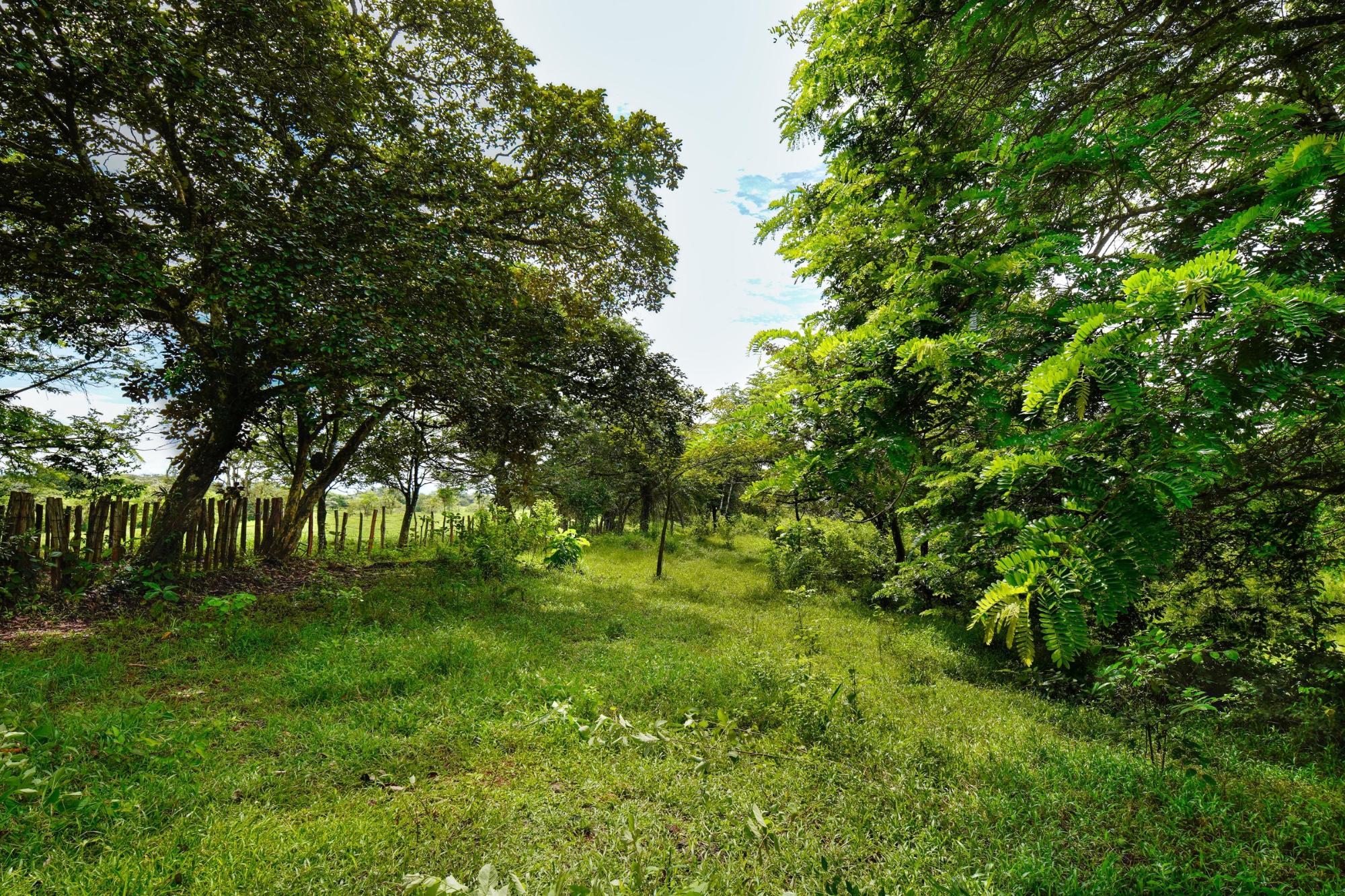 res-00006515-09.jpg