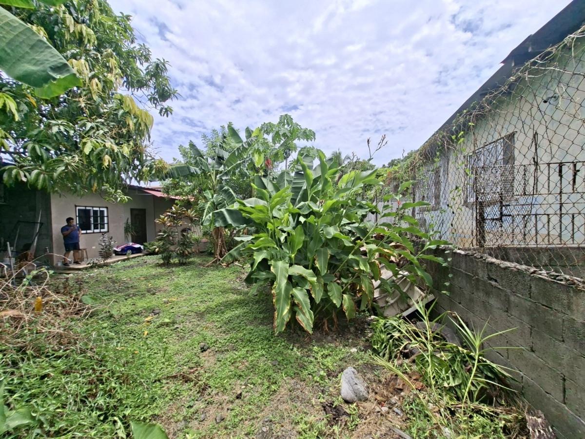 res-00006517-06.jpg