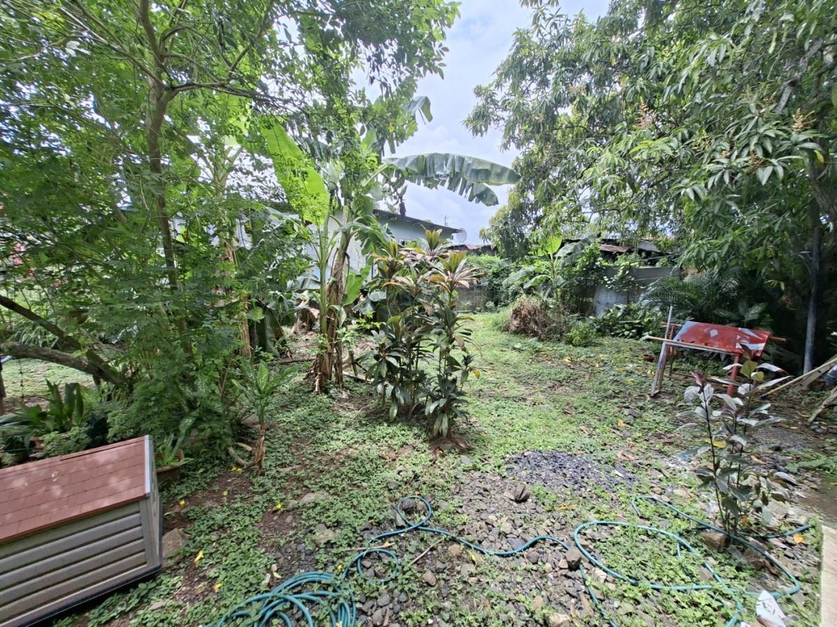 res-00006517-13.jpg