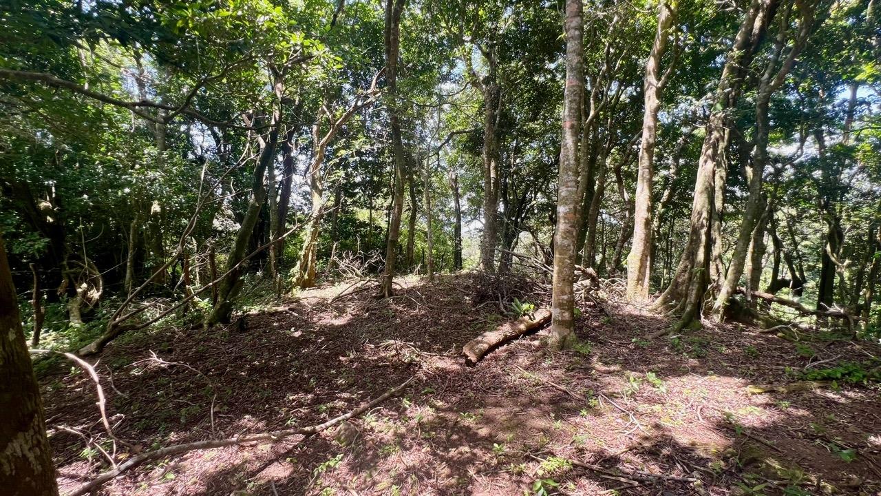 res-00006522-02.jpg