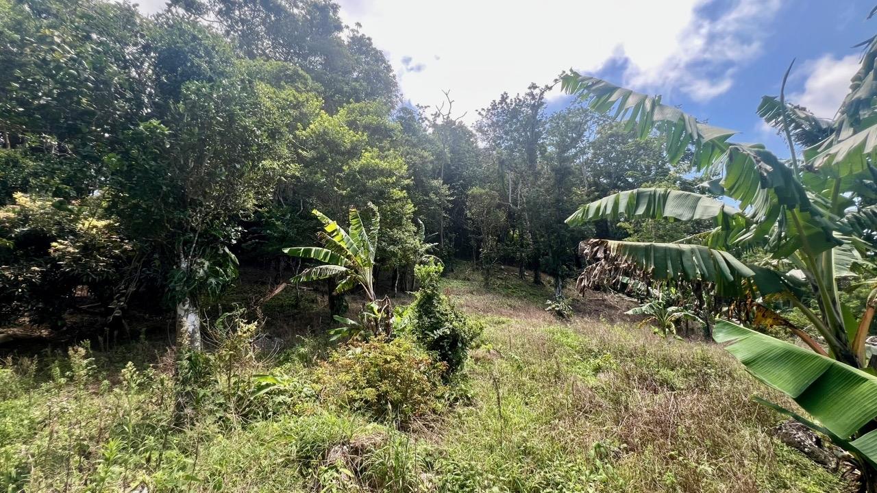 res-00006522-12.jpg