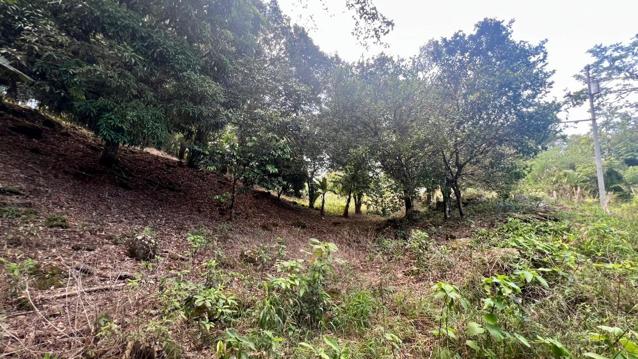 res-00006522-16.jpg