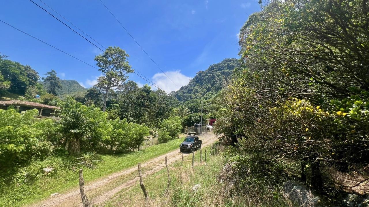 res-00006522-17.jpg